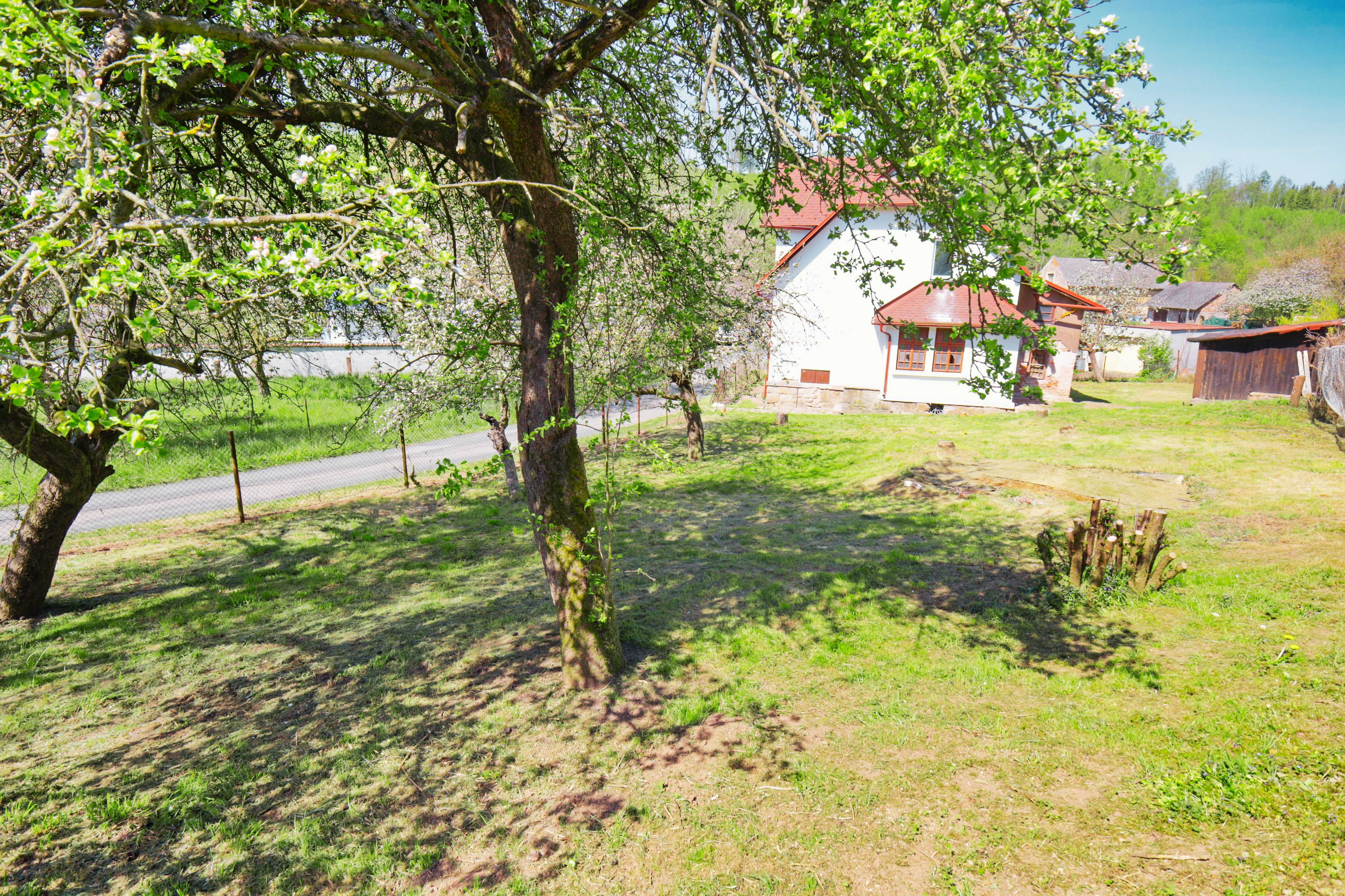 Fotografie domu 4